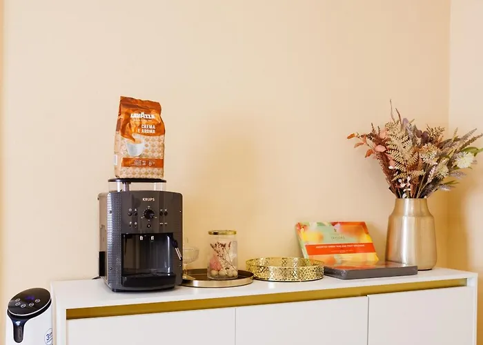 Where Emperors Slept In Old Town Timişoara